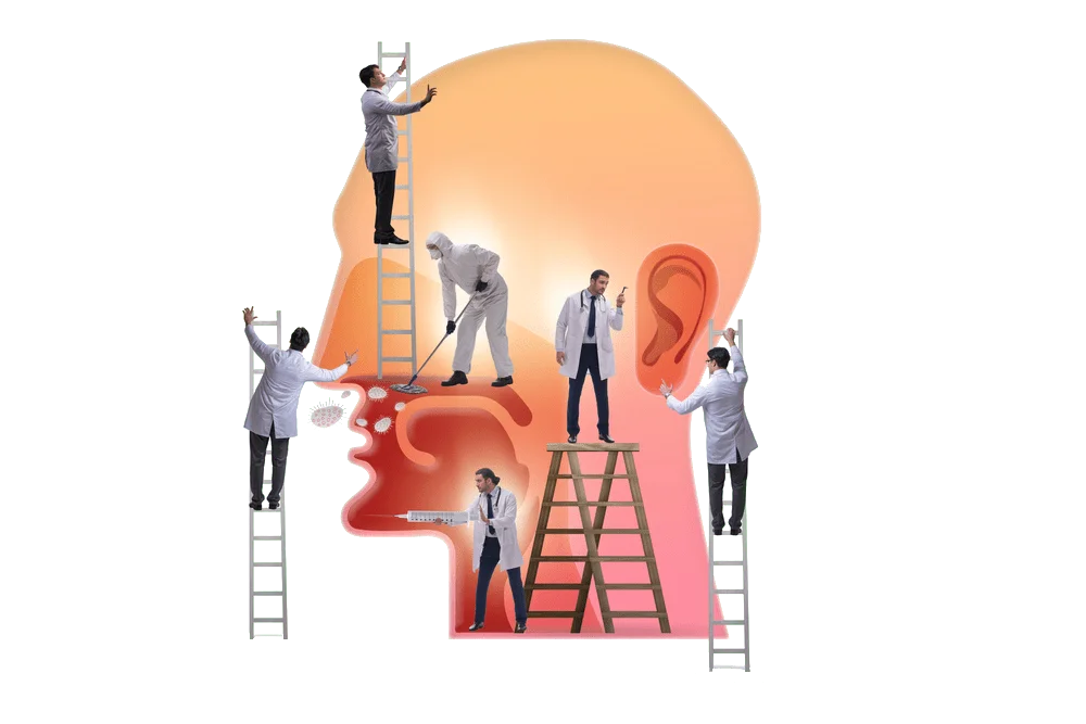 Ent vector image showing different areas treated